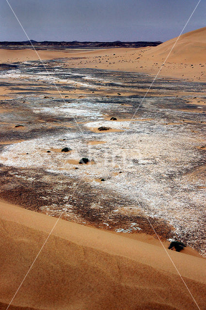 Libyan Desert