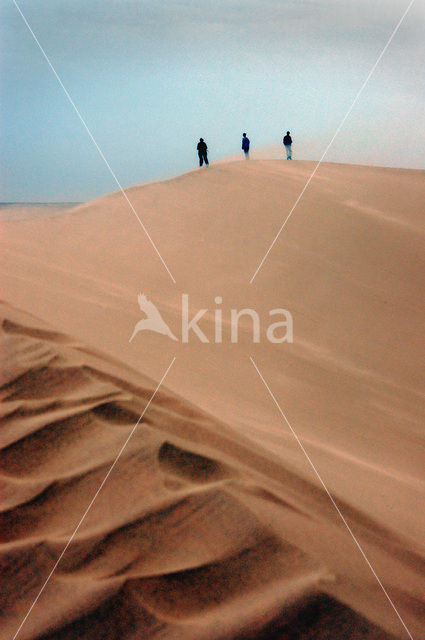 Libyan Desert