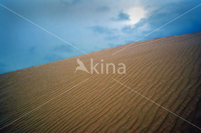 Libyan Desert