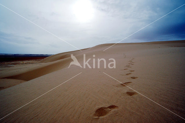 Libyan Desert