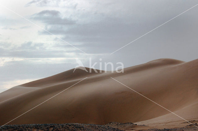 Libyan Desert