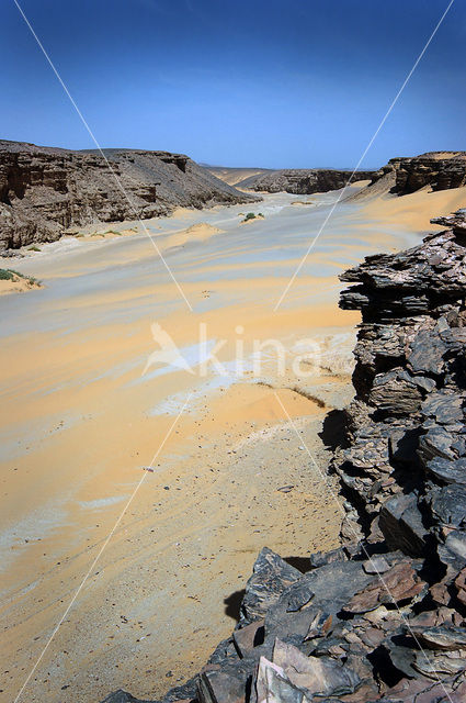 Libyan Desert