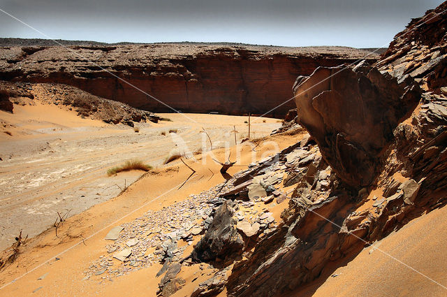 Libyan Desert