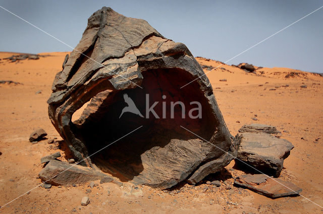 Libyan Desert