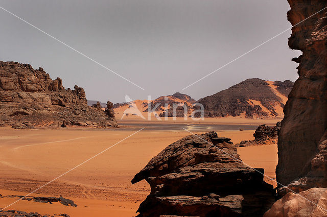 Libyan Desert