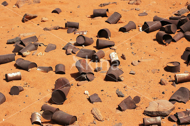 Libyan Desert