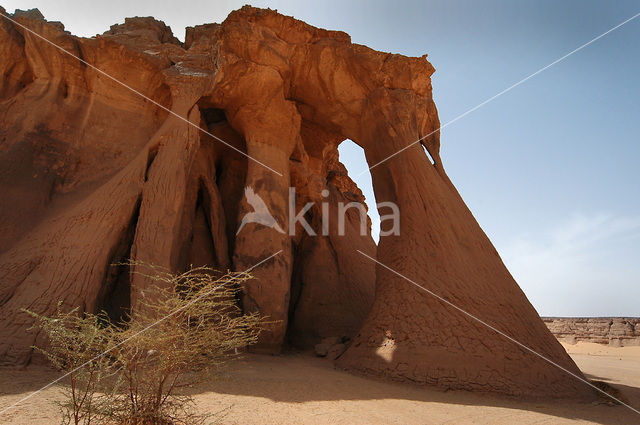 Libyan Desert