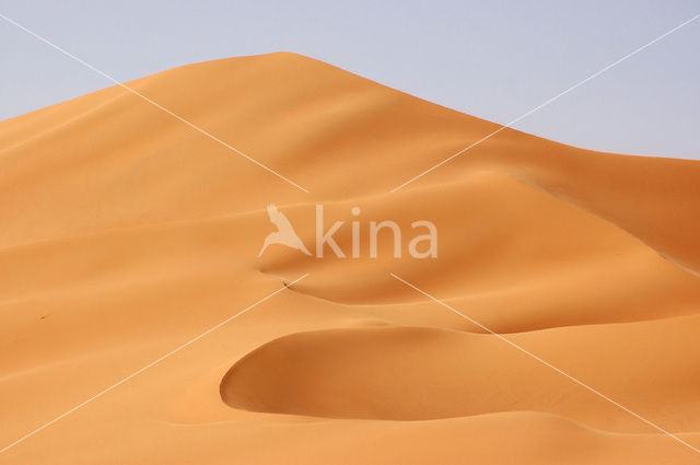 Libyan Desert