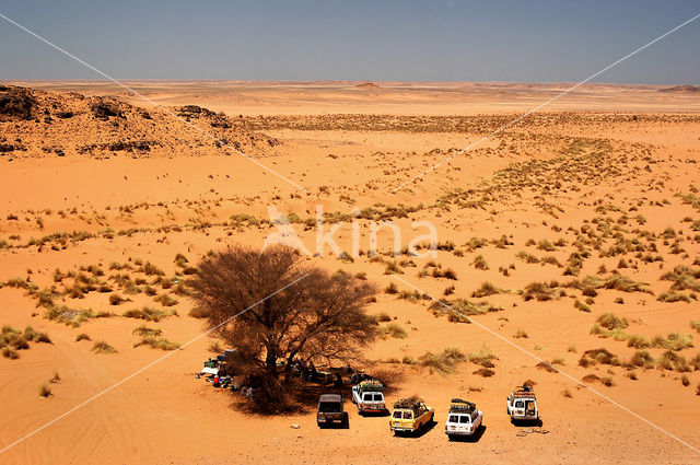 Libyan Desert
