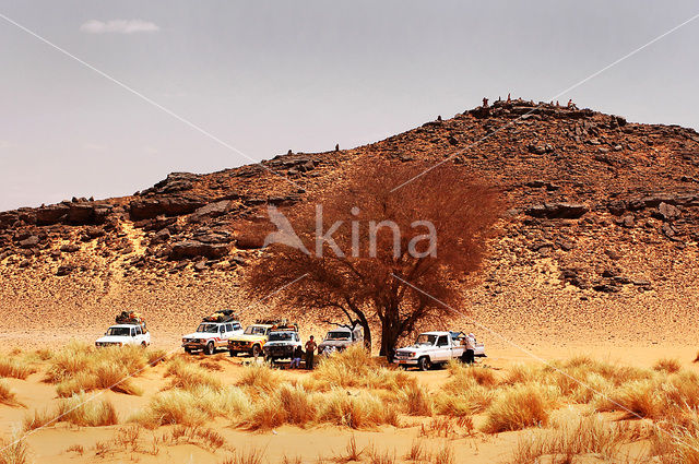 Libyan Desert
