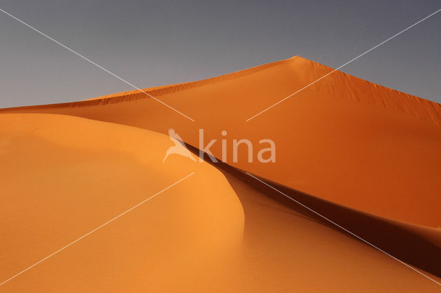 Libyan Desert