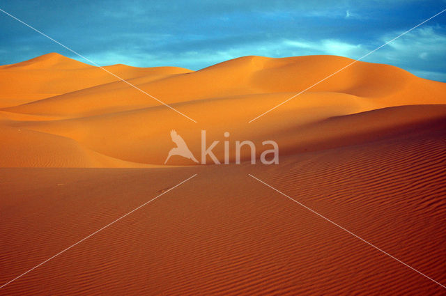 Libyan Desert