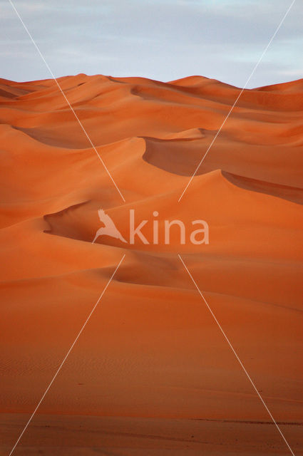 Libyan Desert