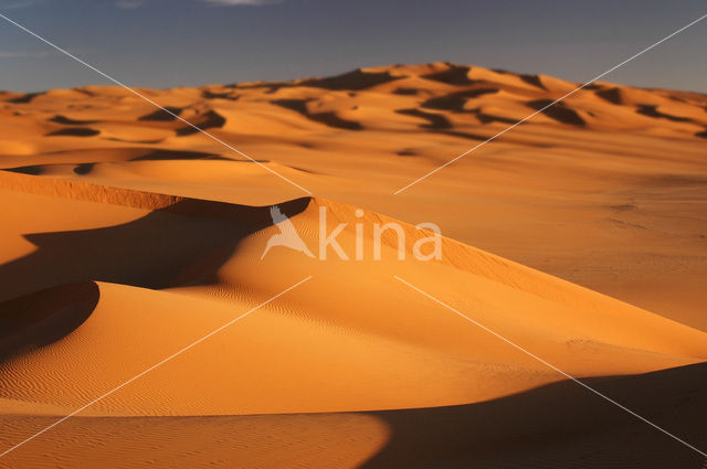 Libyan Desert