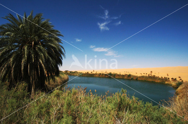 Libyan Desert