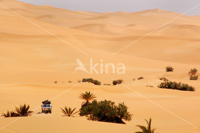 Libyan Desert