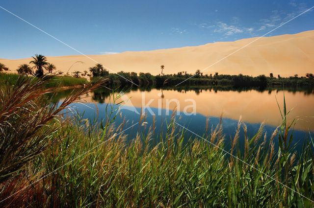 Libyan Desert