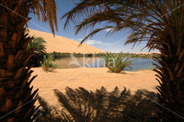 Libyan Desert