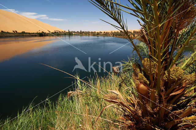 Libyan Desert