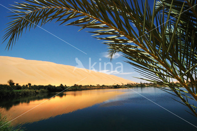 Libyan Desert