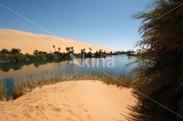 Libyan Desert