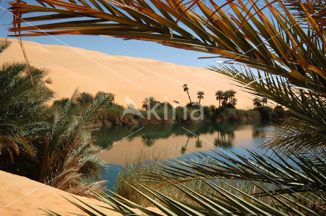 Libyan Desert