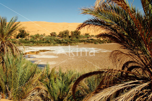 Libyan Desert