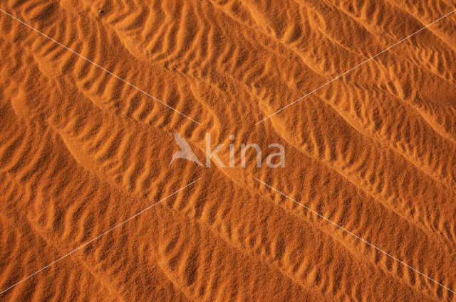 Libyan Desert