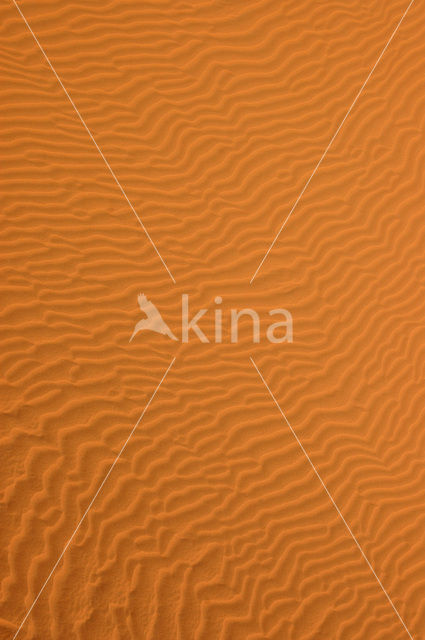 Libyan Desert