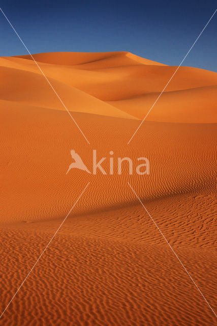 Libyan Desert