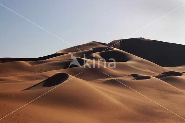 Libyan Desert