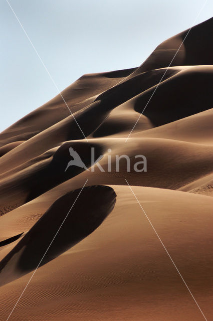 Libyan Desert