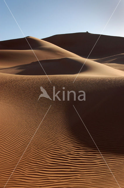 Libyan Desert