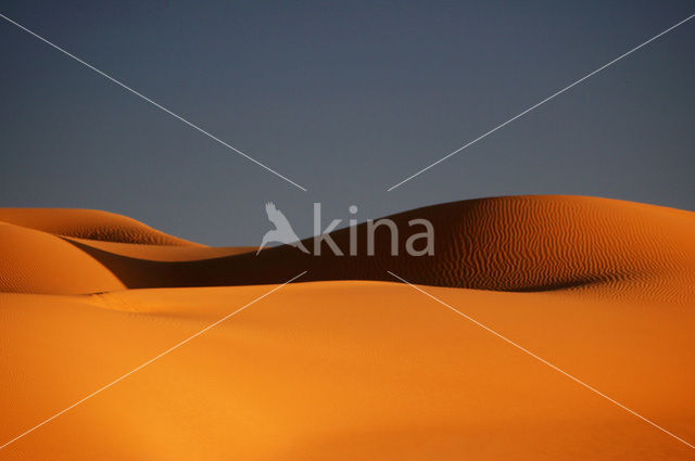 Libyan Desert