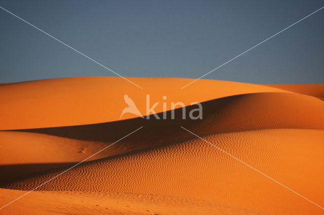 Libyan Desert