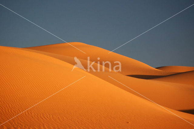 Libyan Desert