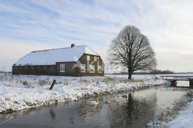 Mastenbroekerpolder