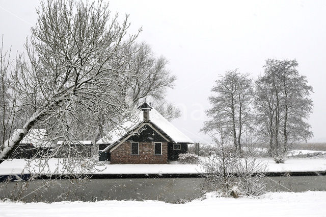 National Park Weerribben-Wieden