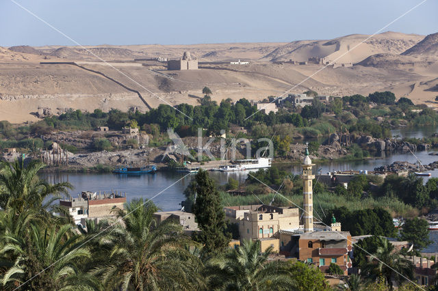 Nile