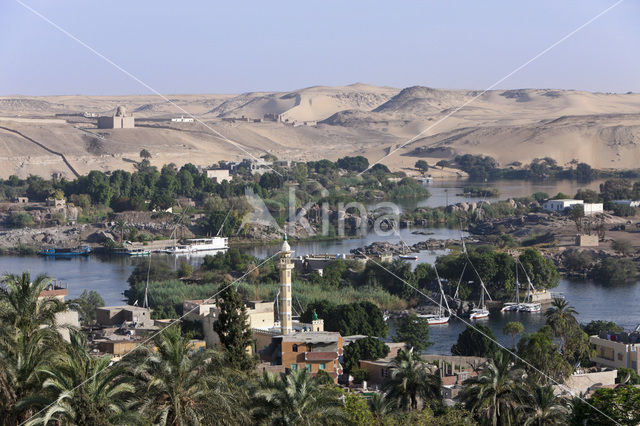 Nile