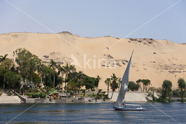 Nile