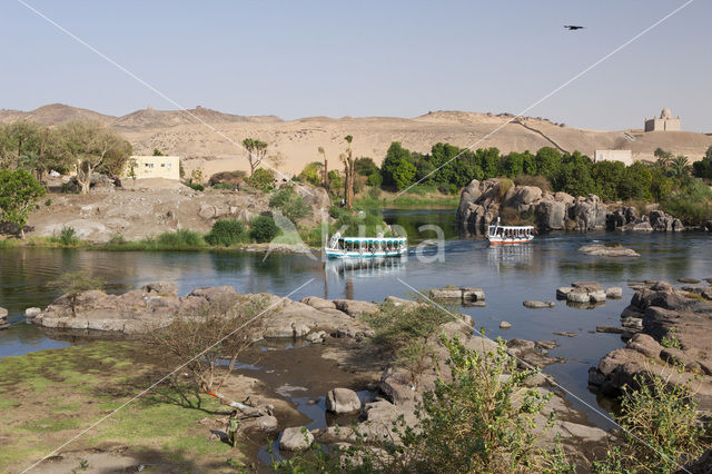 Nile