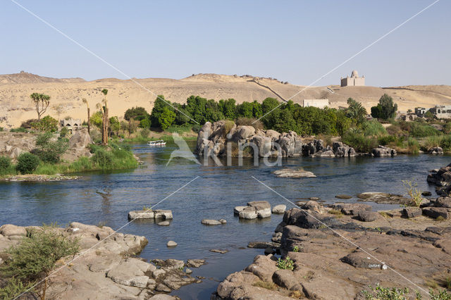 Nile