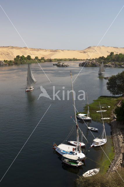 Nile