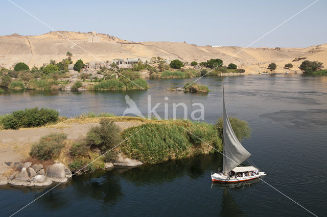 Nile