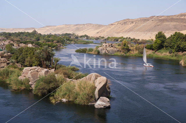 Nile