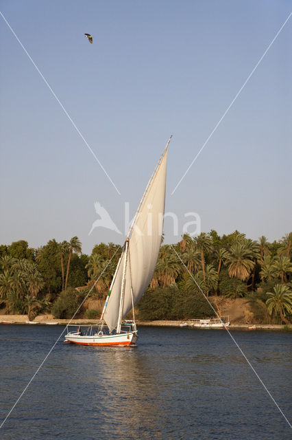 Nile