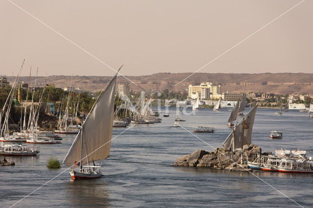 Nile