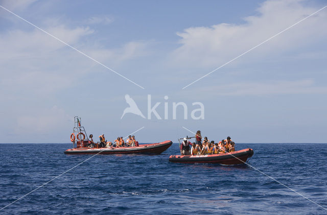 Atlantische Oceaan