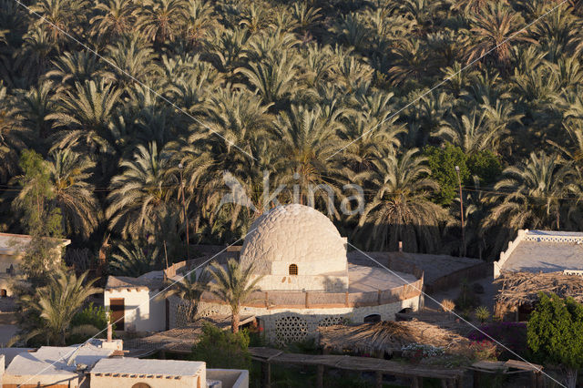 Bahariya Oasis